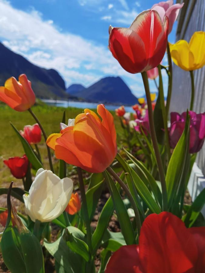 Banpim Beachside Lofoten Ramberg Exterior foto