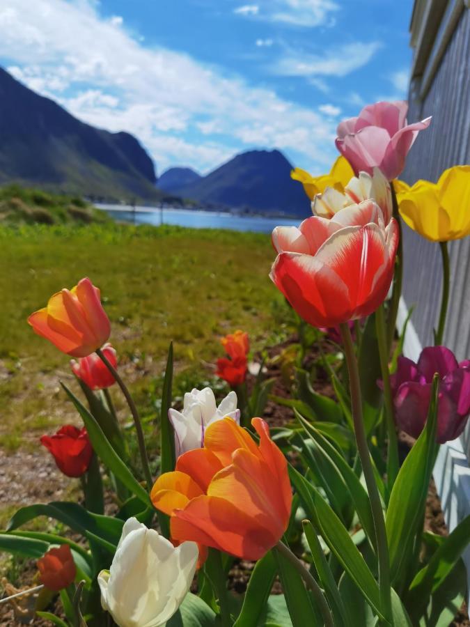 Banpim Beachside Lofoten Ramberg Exterior foto
